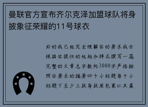 曼联官方宣布齐尔克泽加盟球队将身披象征荣耀的11号球衣